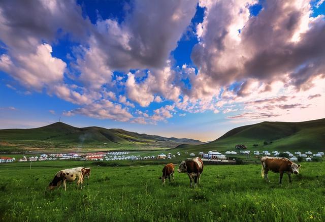蒙古国的主要产业有矿业,畜牧业,交通运输业和服务业,其中畜牧业和