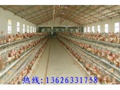 五莲肉鸡笼,五莲畜牧机械厂,兔笼,五莲鸡笼哪里买,五莲鸡笼, 贸易谷供应 maoyigu.com