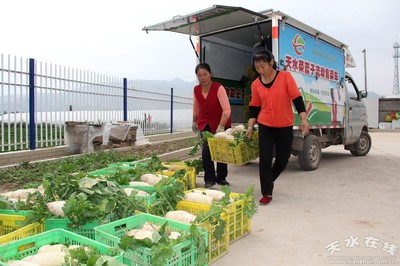 清水县200个农民专业合作组织总收入达1.8亿元(图)