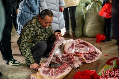 藏在宁乡花猪里的中国年味,你还记得吗