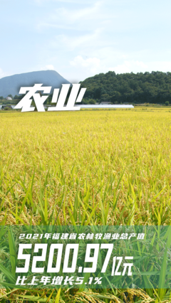 福建2021年全省生产总值48810.36亿元!增长8%