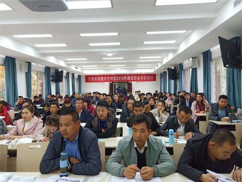 盘点甘州团团的2018 服务青年篇