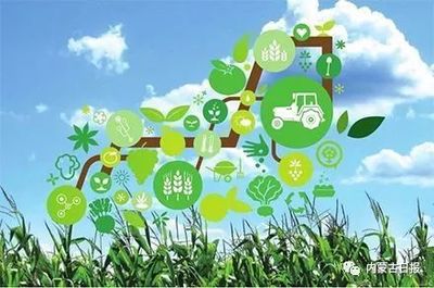 官宣 | 2019年内蒙古经济运行情况年终总结