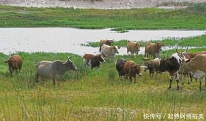 国家发达了30年,结果此总统在位仅5年,国家开始穷困潦倒了