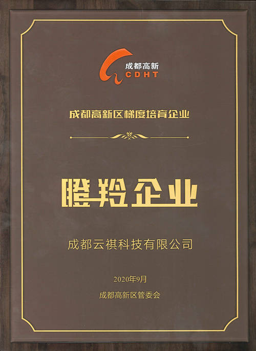 2020年成都高新区梯度培育新经济企业交流会