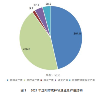 沈阳市人民政府