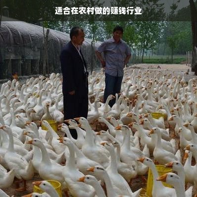适合在农村做的赚钱行业