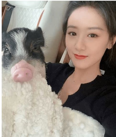 袁冰妍宠物猪走丢,八个助理寻找场面大,助理还与路人起冲突