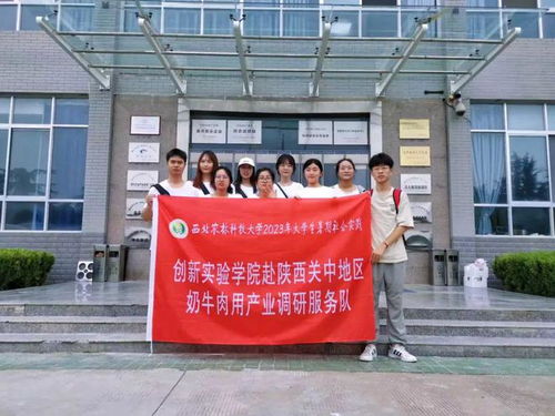 三下乡 创新实验学院赴陕西关中地区调研服务队开展奶牛肉用产业调研活动