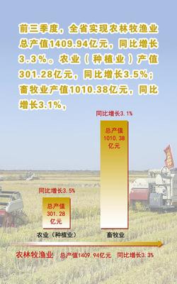 采取超常规举措 加快释放政策效能 推动吉林经济快速恢复、加速提升--三季度全省经济快速增长解读