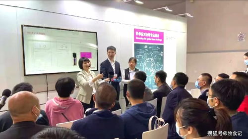 专访丨赢创动物营养 蛋氨酸行业的关键是要保持成本领先