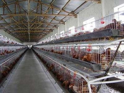 温氏食品 污染建立环保管理规范,打造安全健康绿色畜牧业