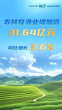 突破500亿元 同比增长5.2% 2024年度桐庐县经济运行情况发布