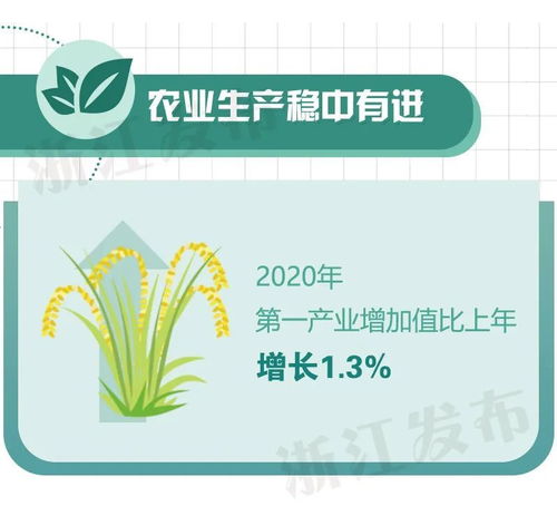 浙江2020年经济运行情况数据出炉