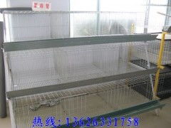 肉鸡笼价格,鸡笼子,母兔笼,五莲肉鸡笼价格,五莲兔笼价格,兔 贸易谷供应 maoyigu.com