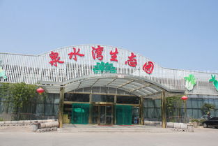 中国济源第二届黄河鲤鱼美食节暨金兔烹饪大赛在即