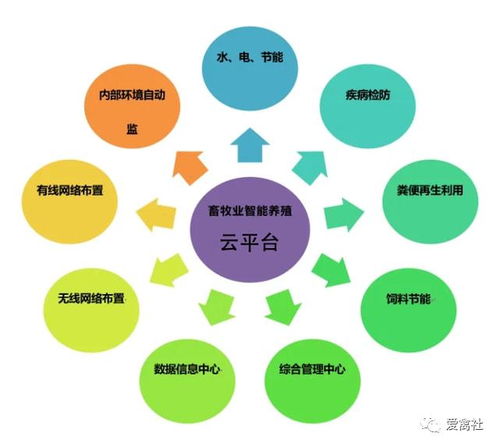 蛋鸡养殖前途在哪里 智能化饲养成为趋势,农产品溯源有望