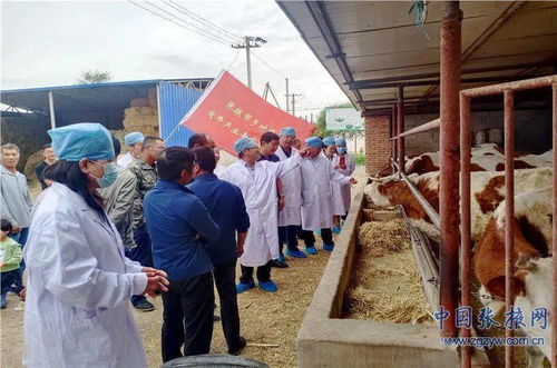 张掖市乡村振兴肉牛产业专家服务团开展 我为群众办实事 科技集中培训服务活动