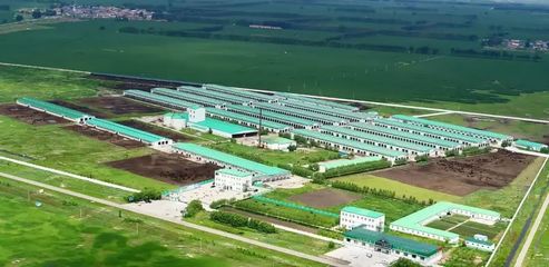 【投资要出山海关】龙江资源有多好 竟吸引这么多大佬来投资!